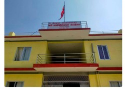कुपोषण निराकरणमा कैलाश गाउँपालिकाको सक्रियता, एक वर्षमा भेटिए ८२ जना कुपोषित